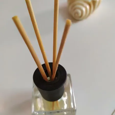 & Studio * 波多河丽